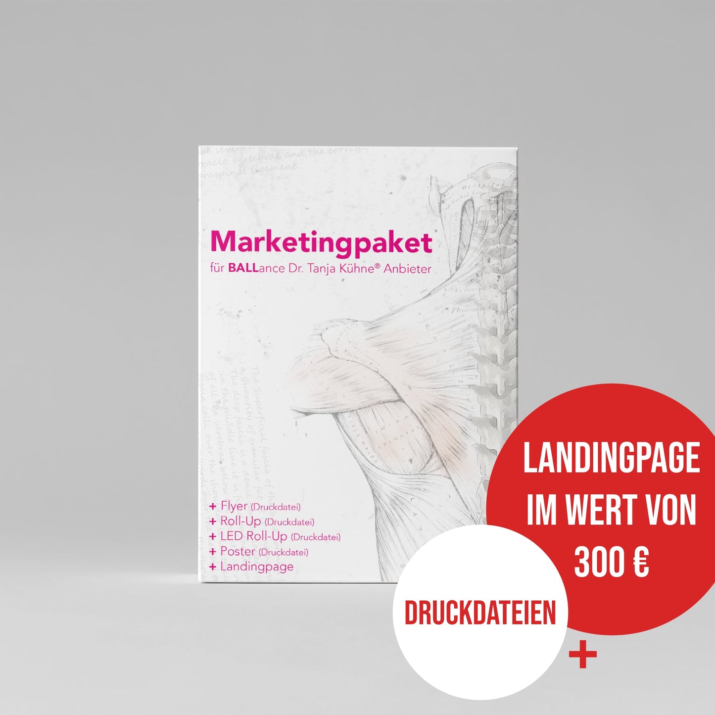 Marketingpaket - Rückenentlastung