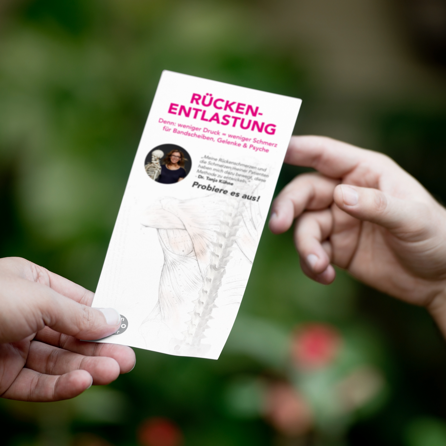 Marketingpaket - Rückenentlastung
